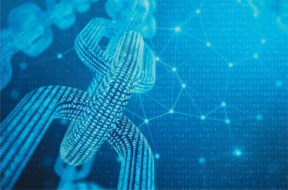 optimizing data chains